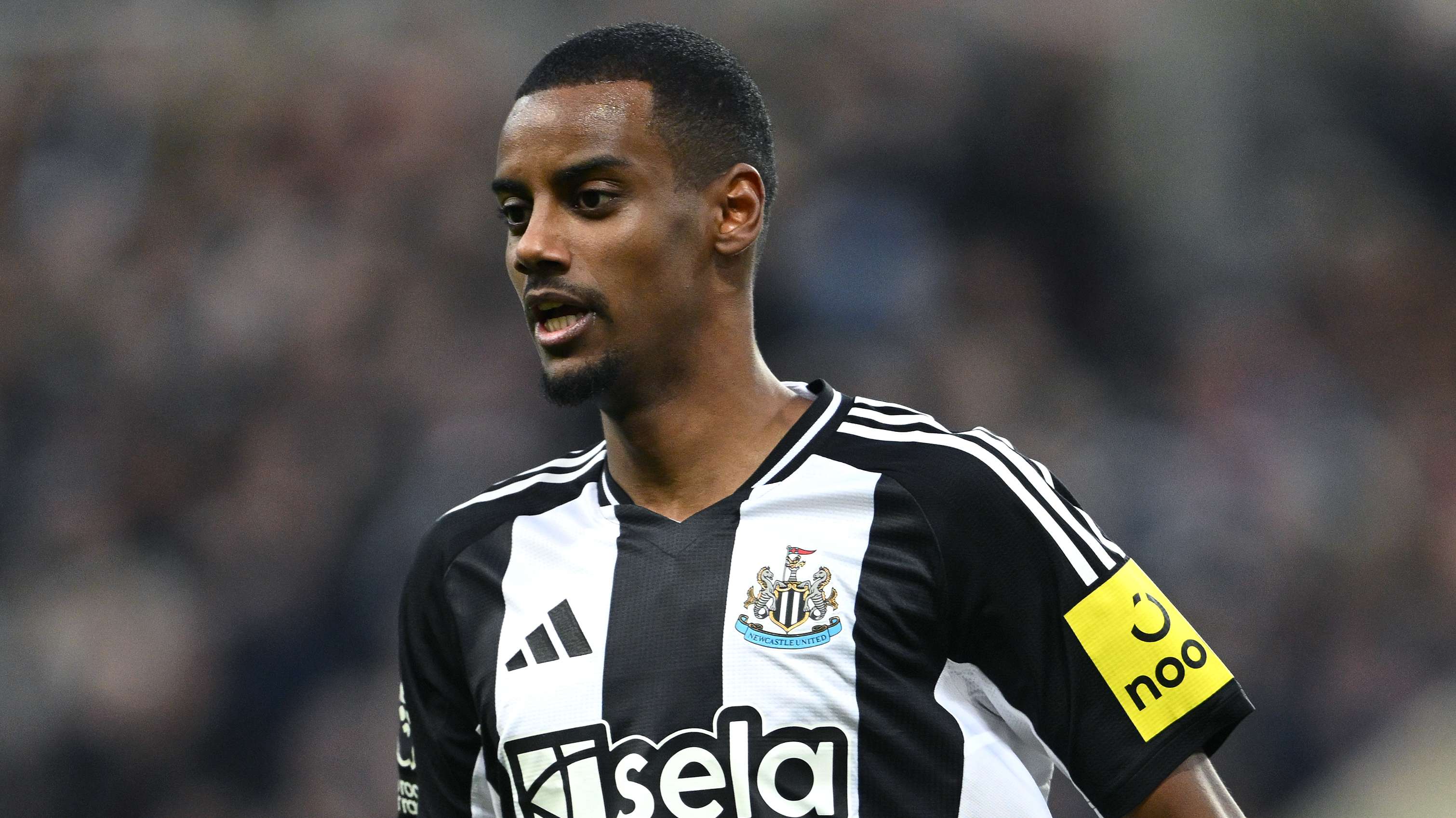 吸引了众多 吸引了众多